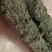 售卖鸡血藤，新鲜，干货