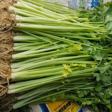 小香芹