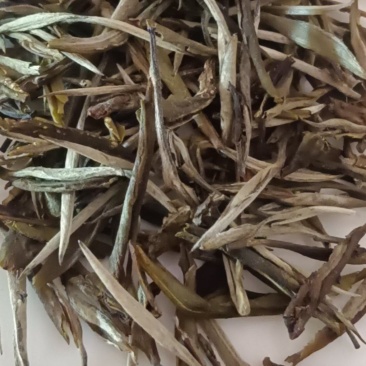 普洱散茶，白茶，苦茶，大叶，紫娟，晒红
