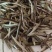 普洱散茶，白茶，苦茶，大叶，紫娟，晒红