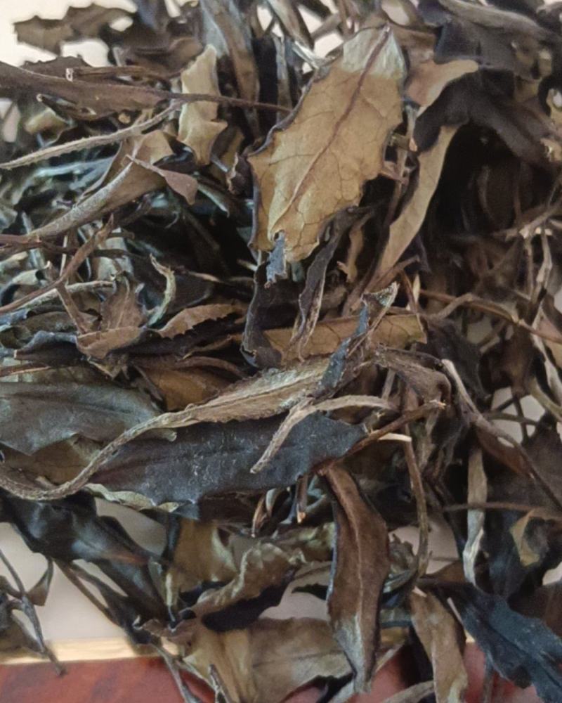 普洱散茶，白茶，苦茶，大叶，紫娟，晒红