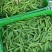 荷兰豆，大量货源充足，全年供应稳定，源头基地，欢迎咨询合作。