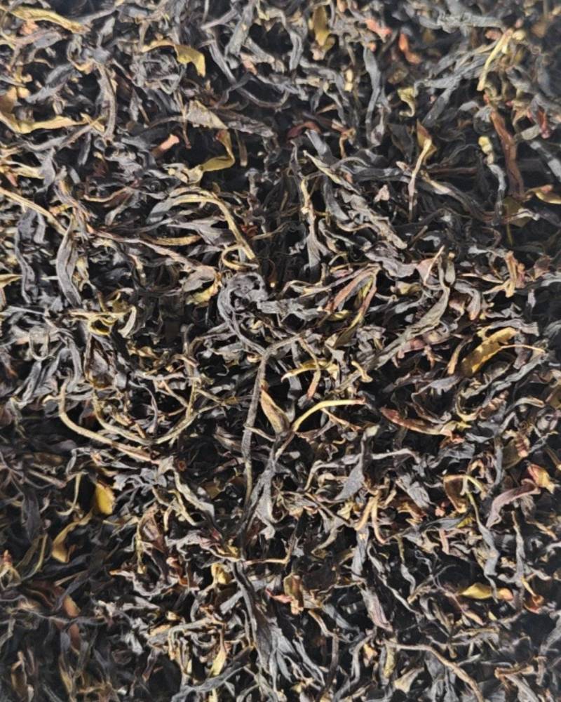 野生古茶