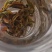 野生古茶