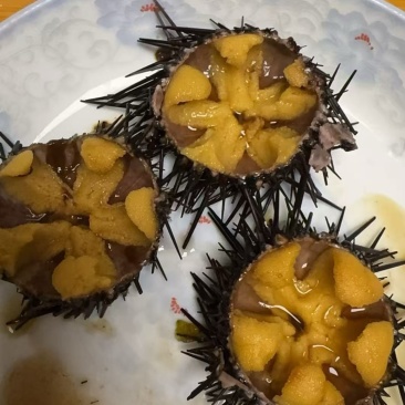大连精品小紫胆，价格优势，产地直发