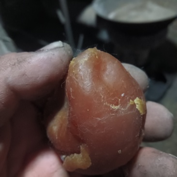 卖精品鸡宝一