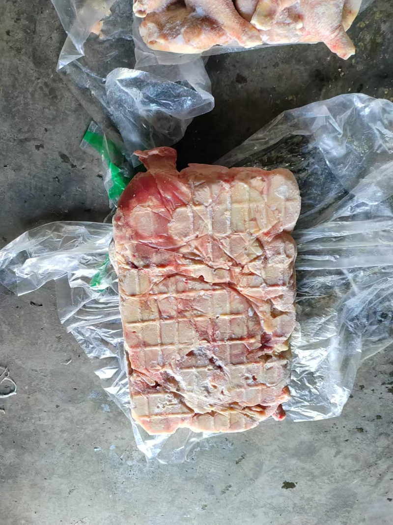 存货肉鸡二级排腿三十吨沈阳提