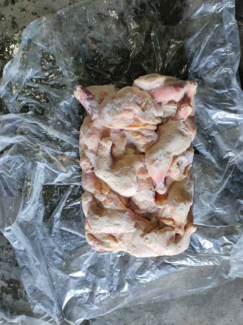 存货肉鸡二级排腿三十吨沈阳提