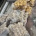客家香菇肉丸、客家酿豆腐、纯手工制作