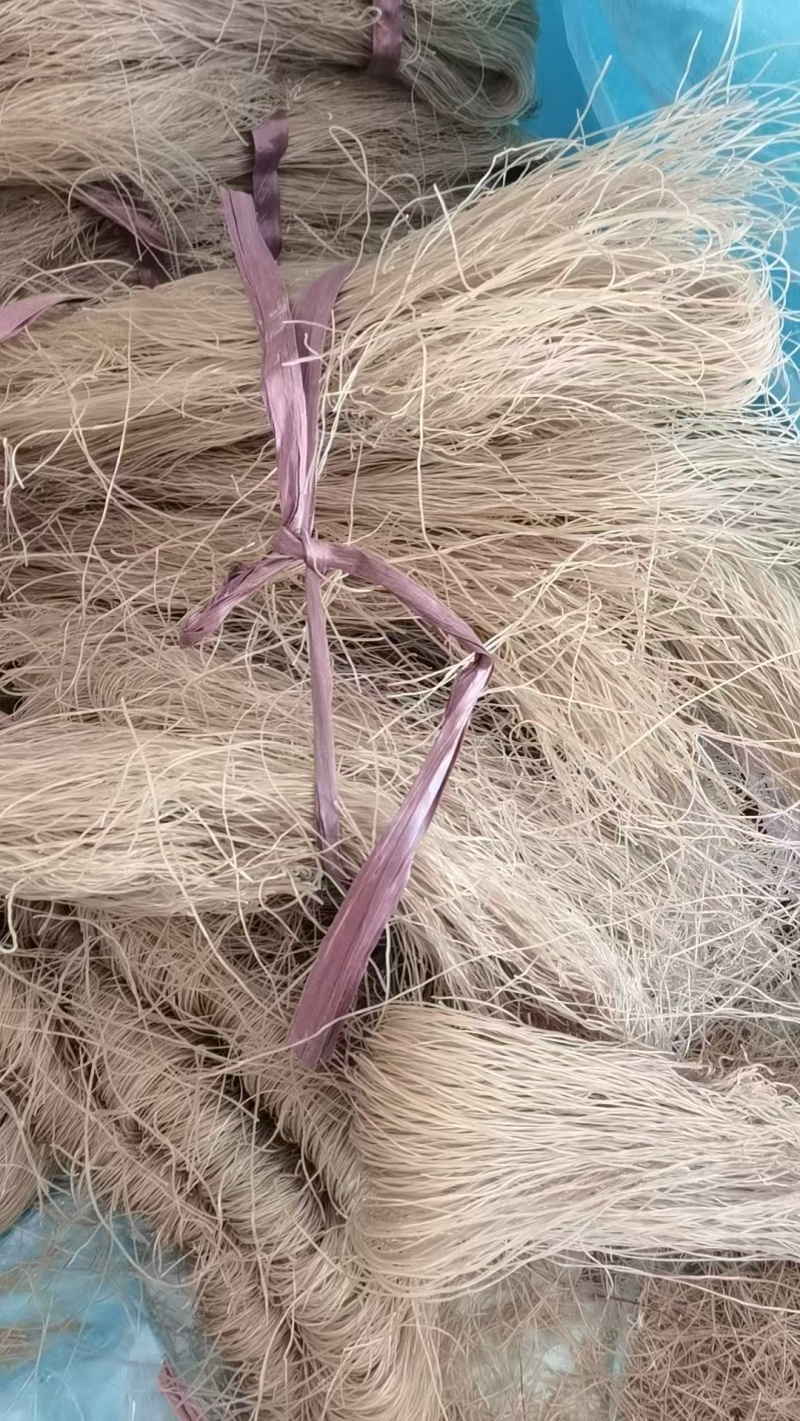 红薯粉丝