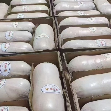 小乳猪小的8-12斤大的14-16斤