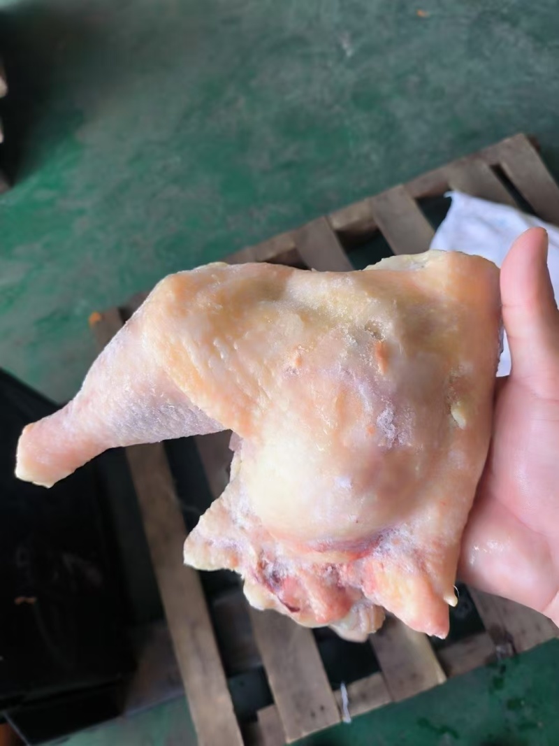 个人存货袋装老鸡边腿广东提货