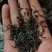 茶叶，清明前后自家茶园采摘，采用精品包装，送人自己喝适合