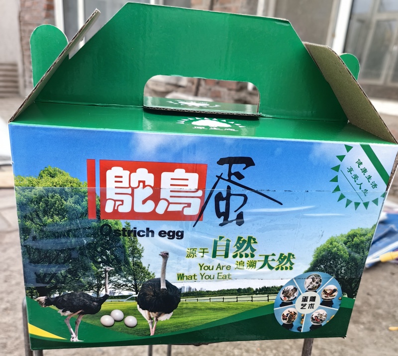 鸵鸟蛋