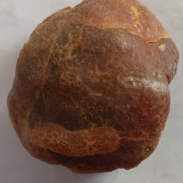 新疆鸡宝