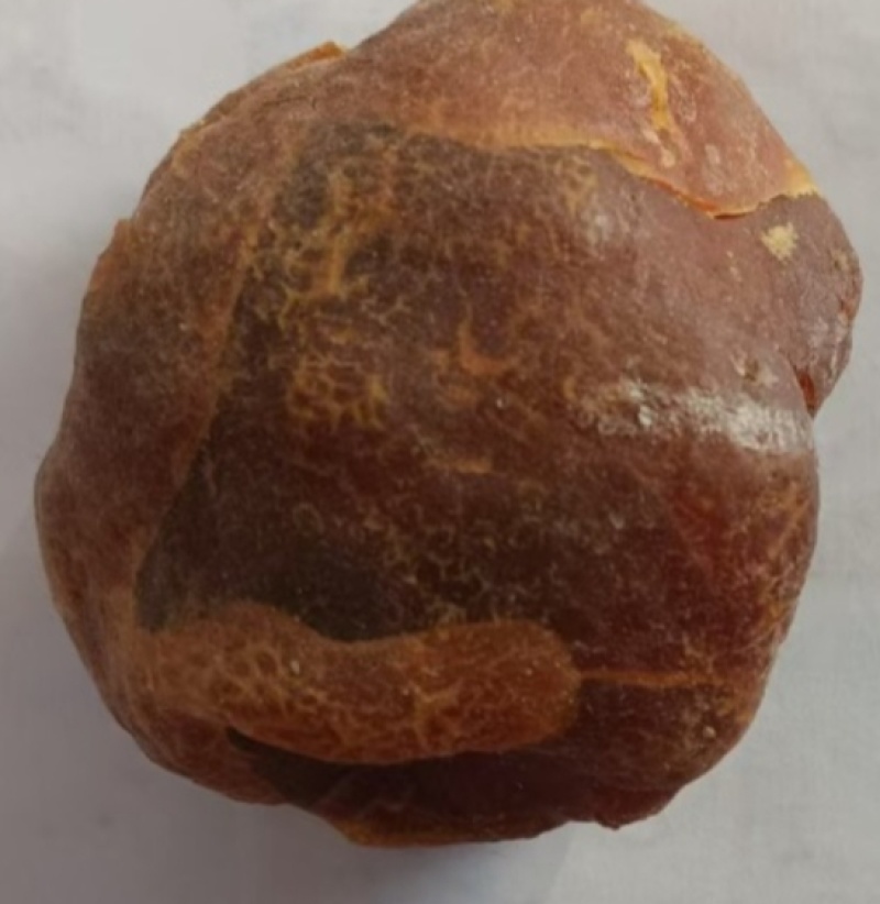 新疆鸡宝