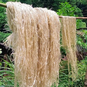葛麻