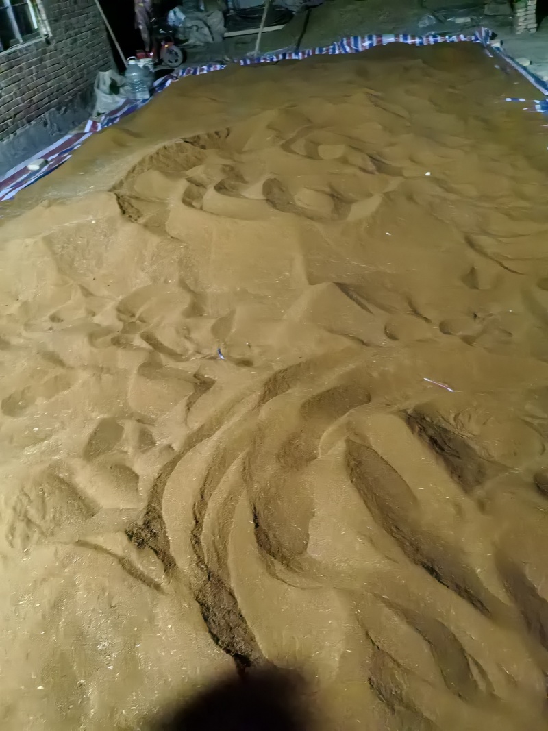 野生麦篙种子