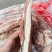 带皮五花肉条，有轻微哈味8+00一吨