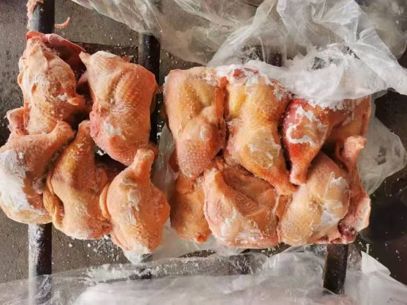 二级种鸡排腿2吨