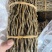 铁皮石斛无渣大捆条