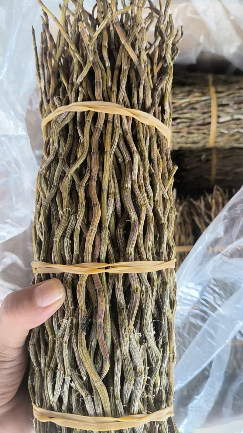 铁皮石斛无渣大捆条