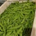 四季供货荷兰豆产地直发源头基地价格优惠欢迎咨询