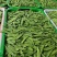 【荷兰豆】全年供应源头基地一手价格电商好货精品皆有