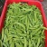 【荷兰豆】全年供应源头基地一手价格电商好货精品皆有