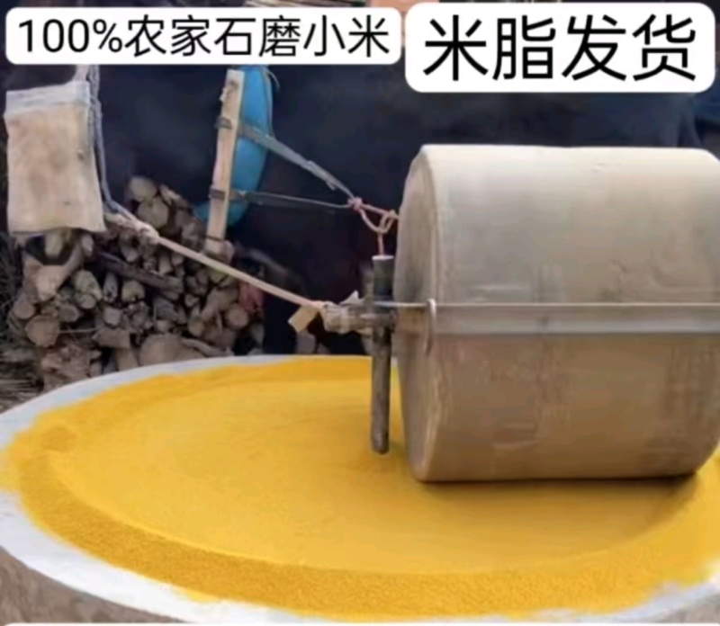 陕北米脂小米之乡
