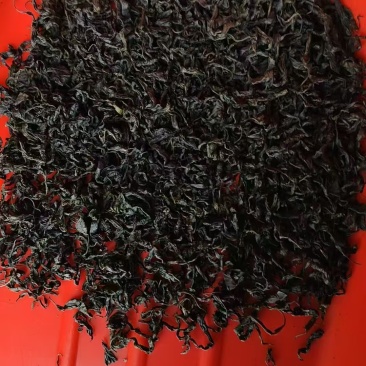 湖南精品杜仲茶