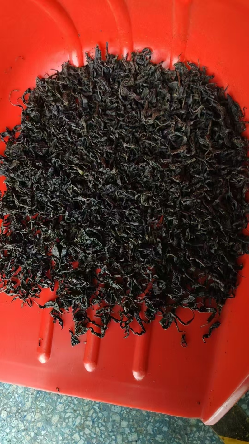 湖南精品杜仲茶