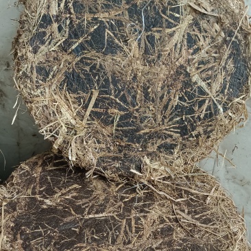 养花种菜一绝