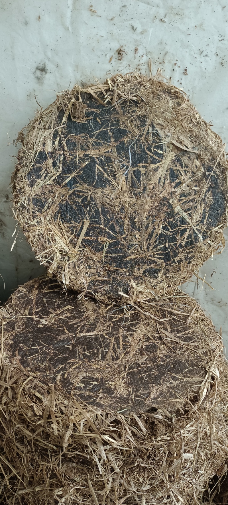 养花种菜一绝