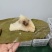 粽子，各种某位规格