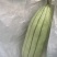 大荔高石脆瓜