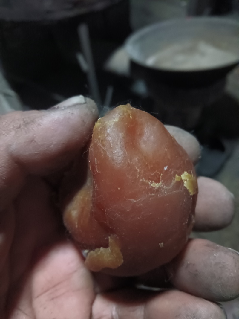 精品鸡宝
