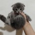 猫咪🐈