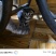猫咪🐈
