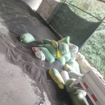 绵阳高芥酸油菜籽