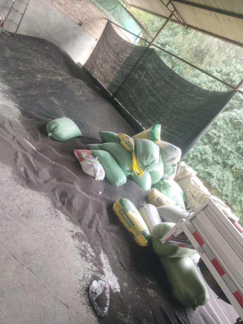 绵阳高芥酸油菜籽