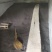 绵阳高芥酸油菜籽