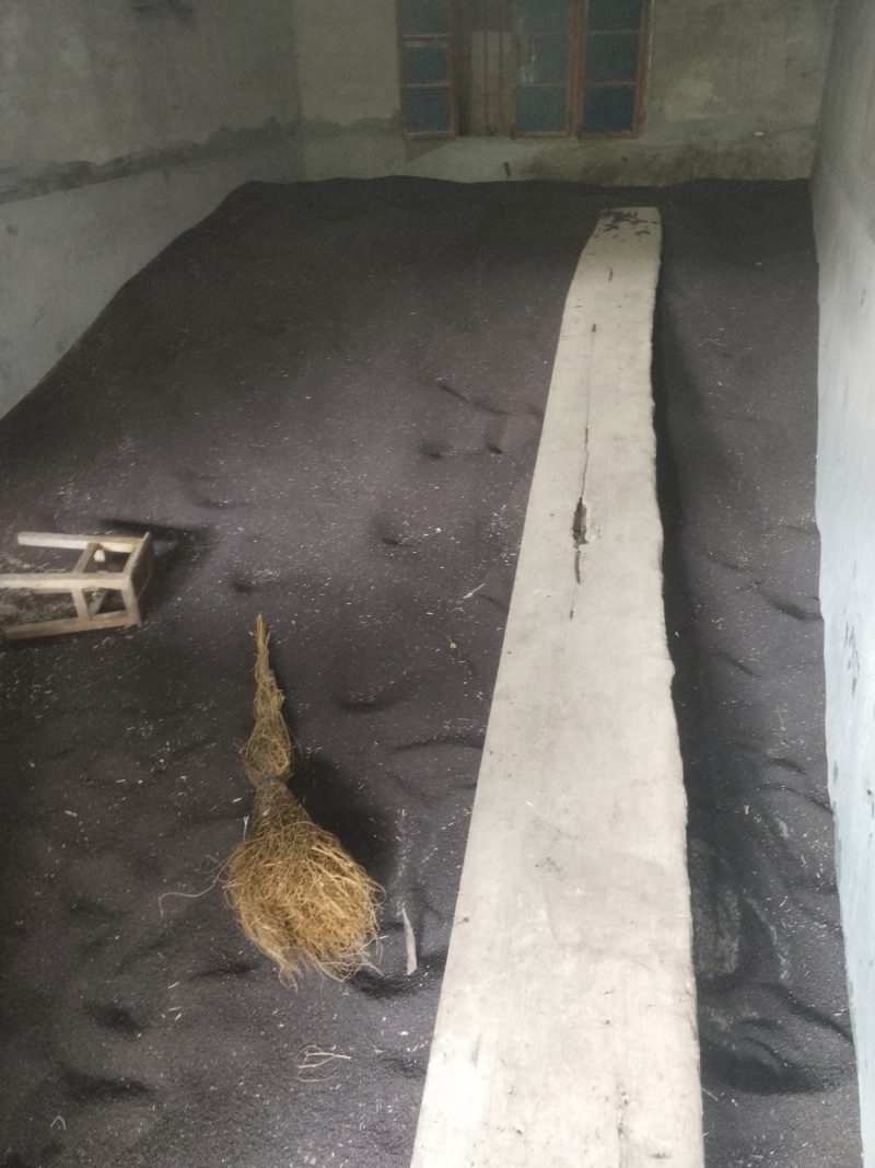 绵阳高芥酸油菜籽