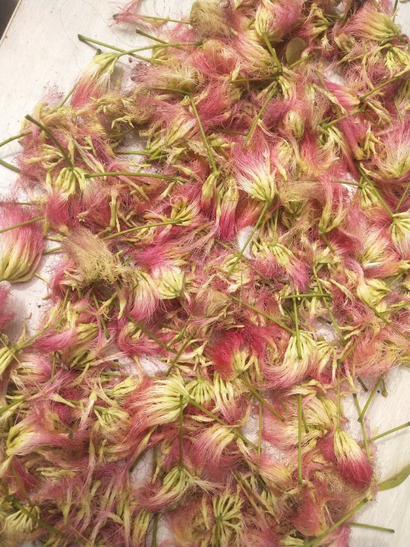 合欢花