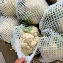 精品，通货松花