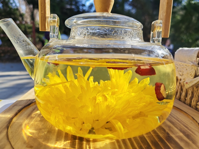 济南市南山区金丝皇菊