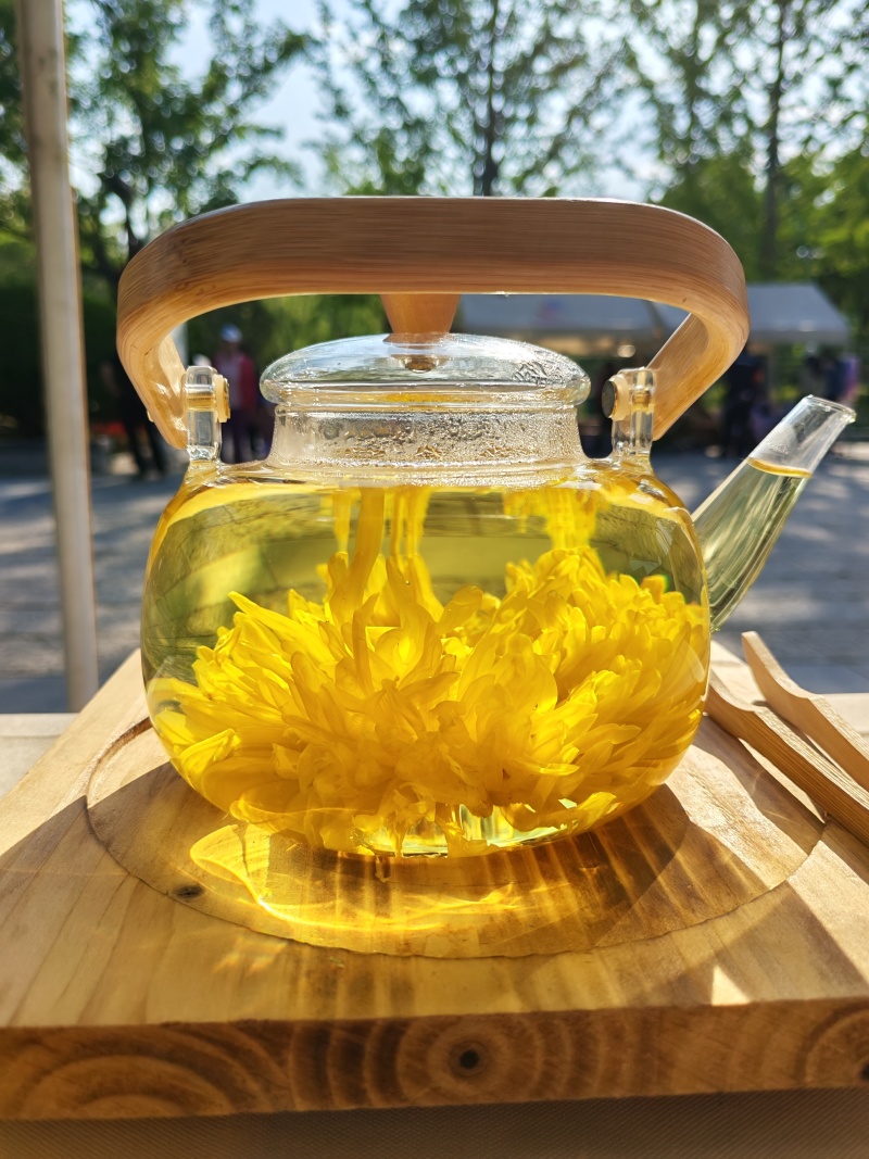 济南市南山区金丝皇菊