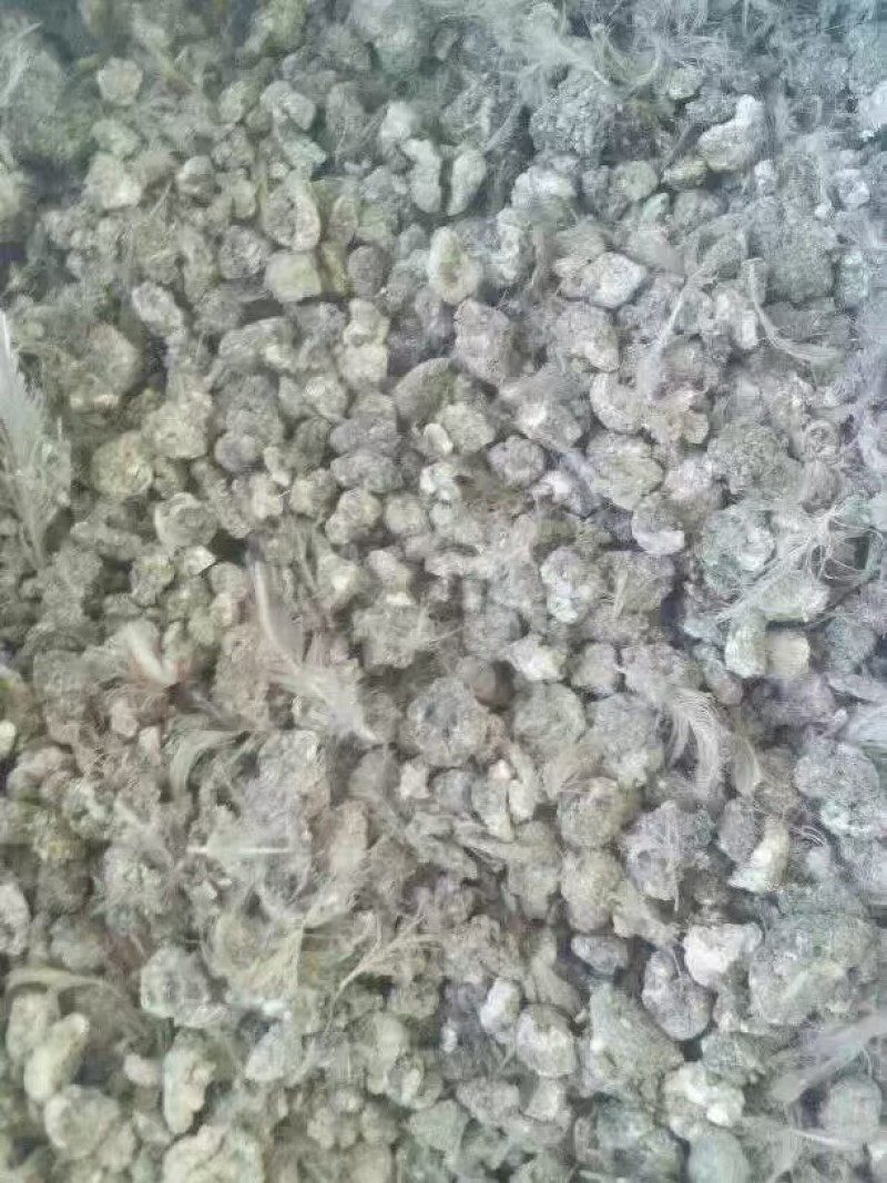 有机肥鹌鹑粪