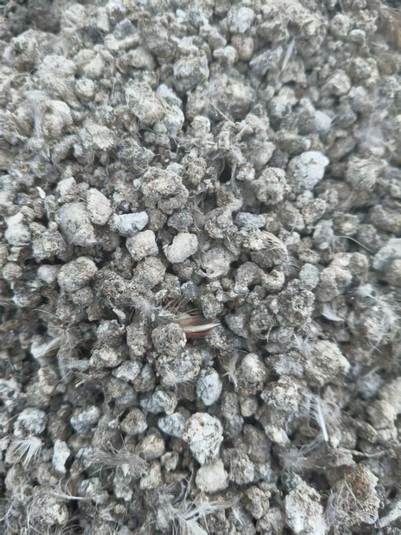 有机肥鹌鹑粪