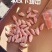 鸡翅中规格（3040）(4050)50➕规格齐全